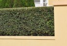 Whyallahard-landscaping-surfaces-8.jpg; ?>