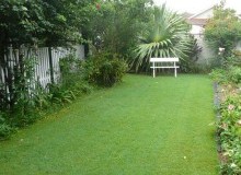 Kwikfynd Lawn and Turf
whyalla