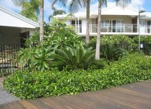 Kwikfynd Residential Landscaping
whyalla