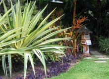 Kwikfynd Tropical Landscaping
whyalla